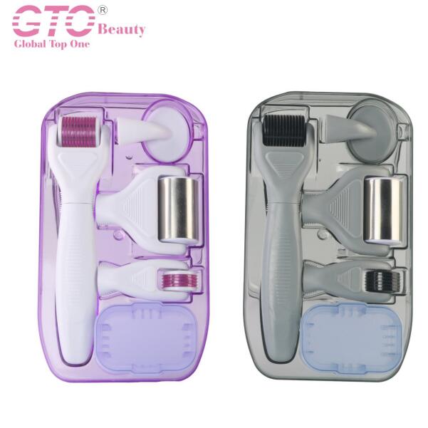 GTO 6 IN 1 Derma Roller Suit, Ice Roller+Derma Roller